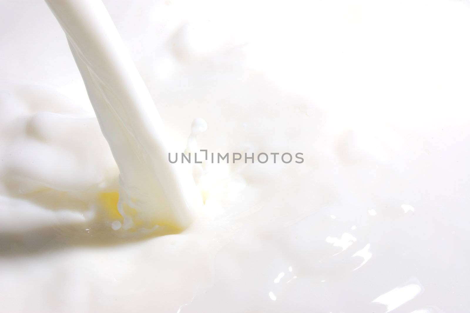 milk splashes with many drops into fresh milk