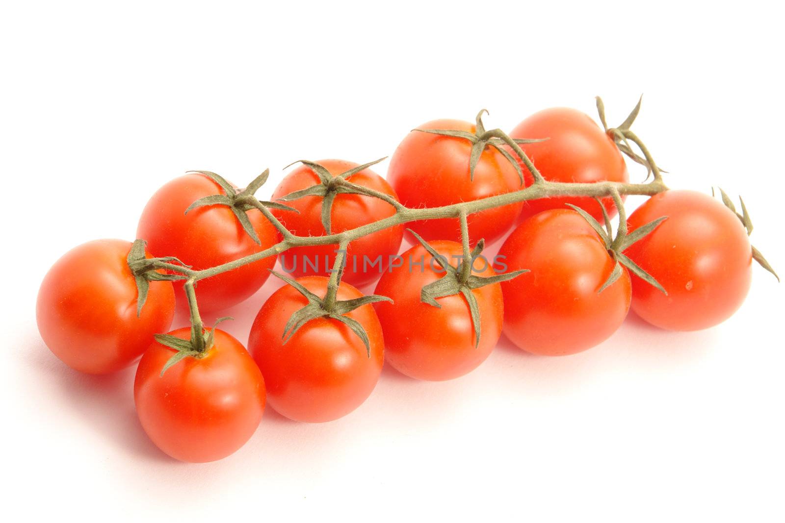 group of tomatoes attached to vine against white background                               