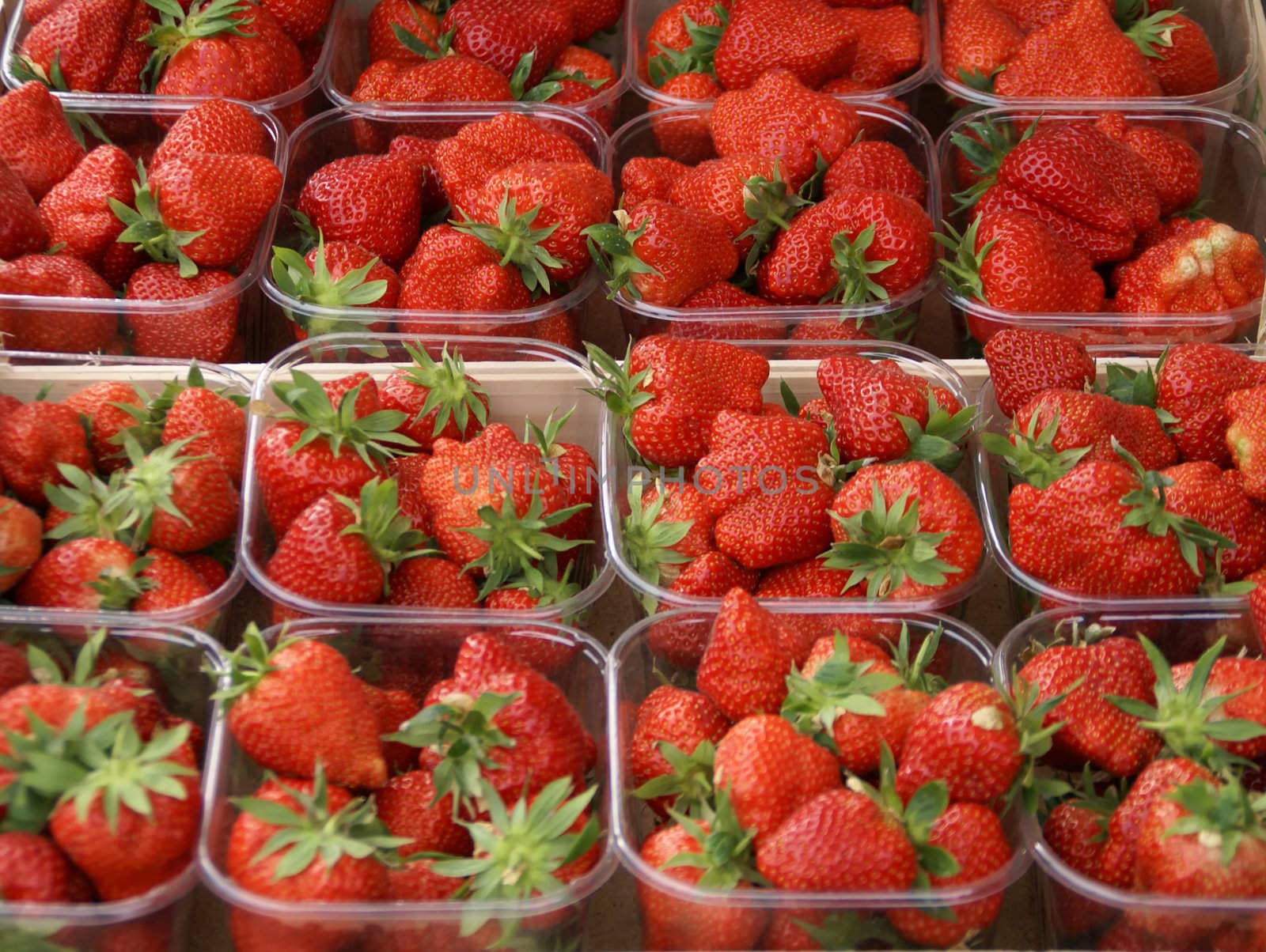 Strawberries in container                   