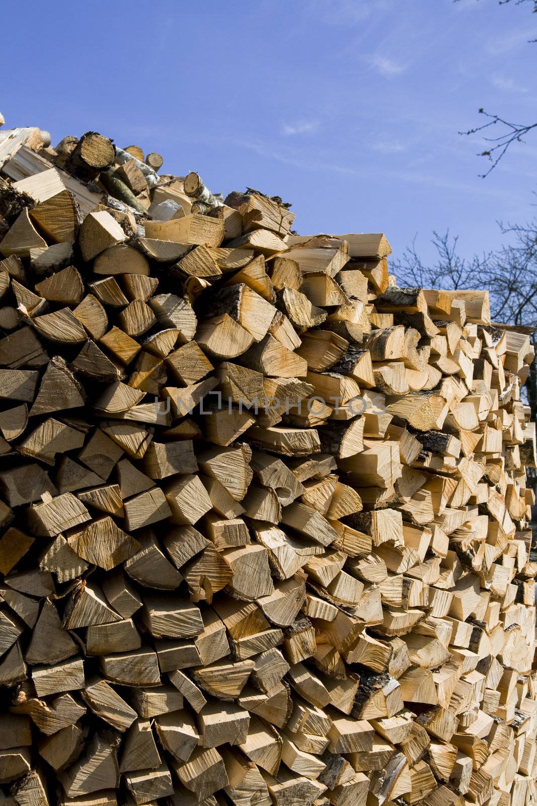 Cut, split and stacked firewood and blue sky. Lithuanian farm