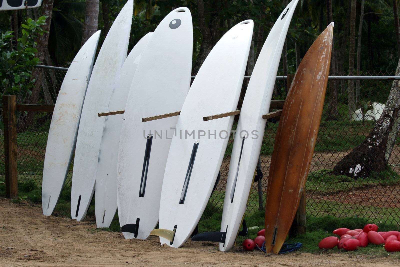surfing boards by closing time