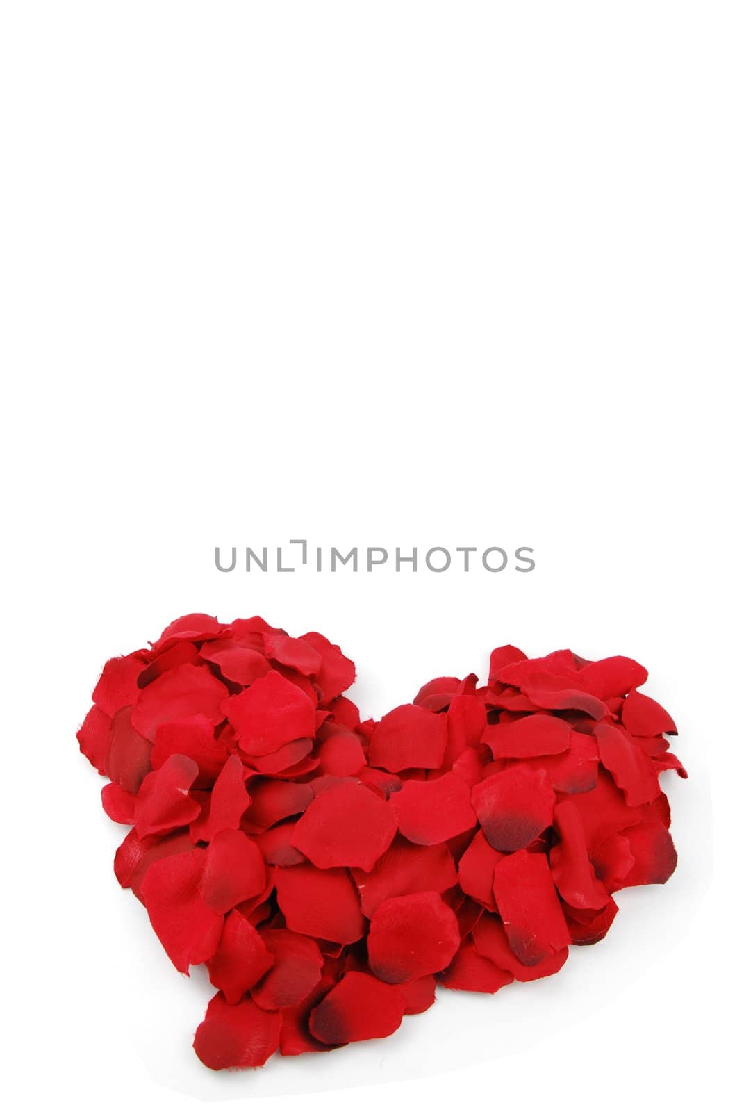 beaufiful red heart made of rose petals (isolated on white background)