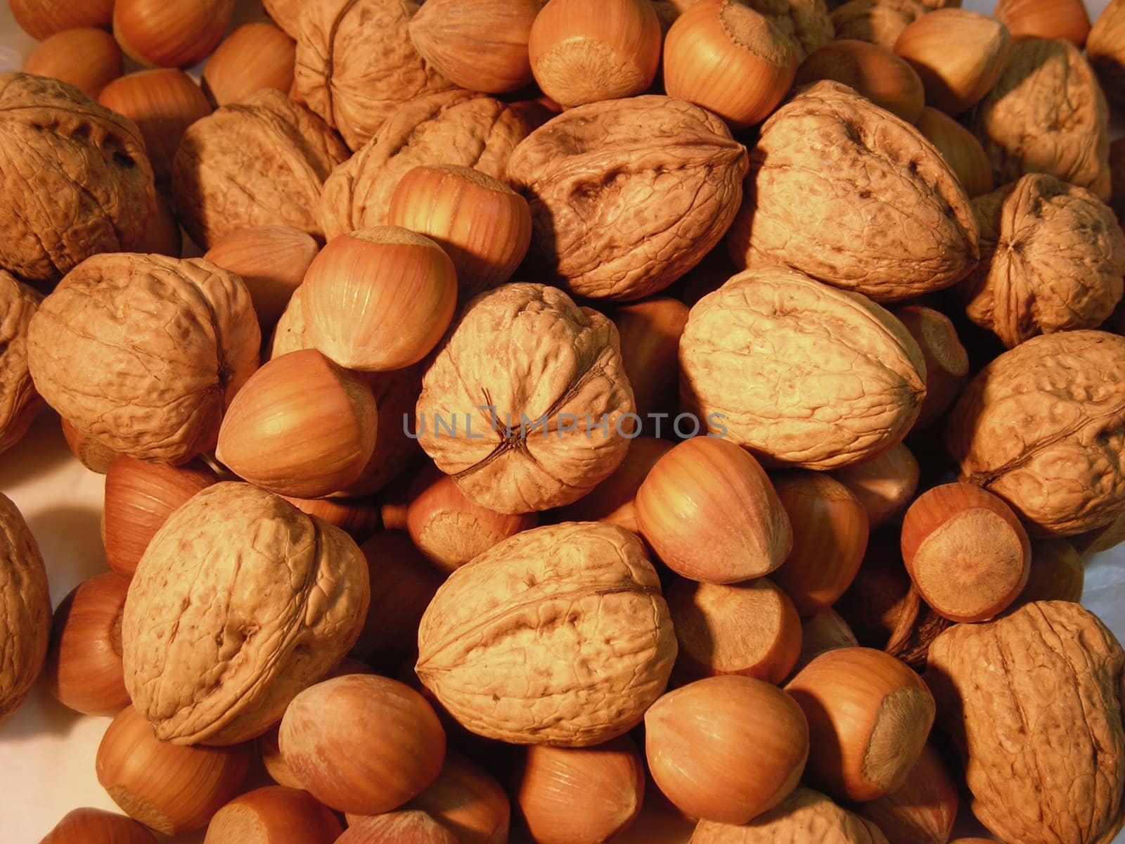 Group of walnuts and hazelnuts top view