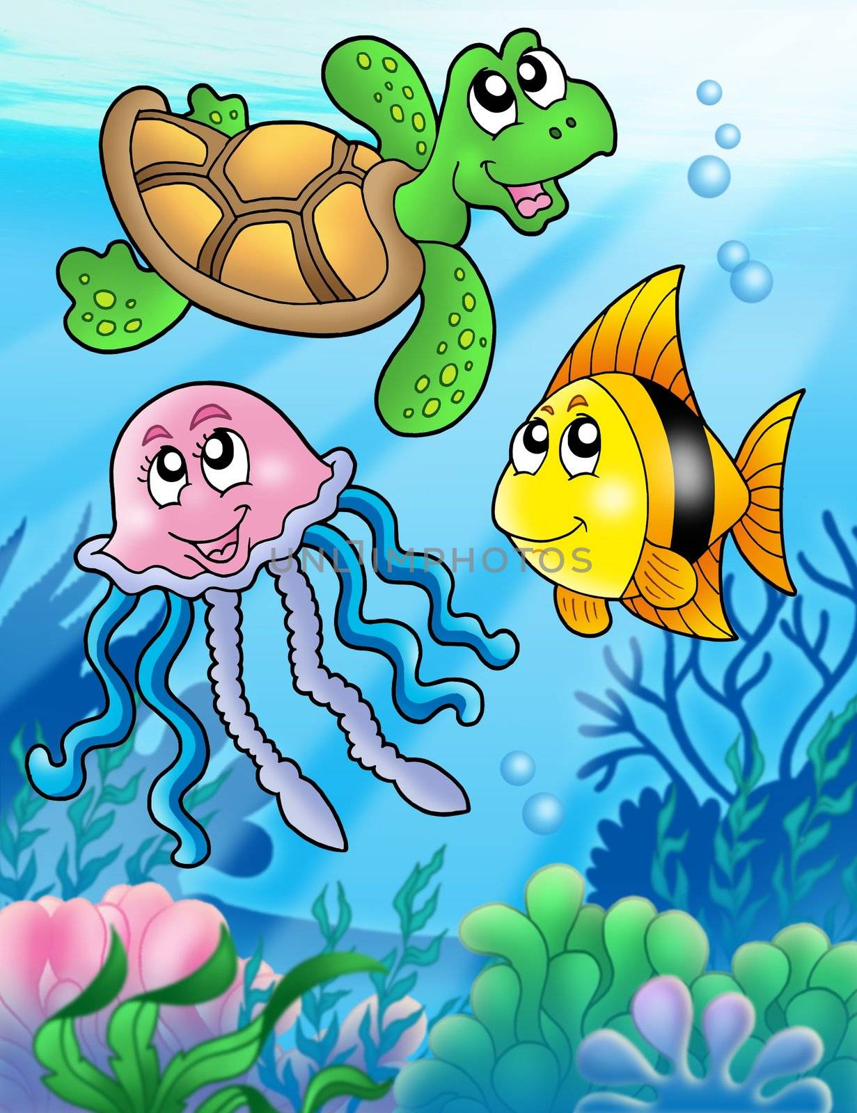 Various sea fishes and animals - color illustration.