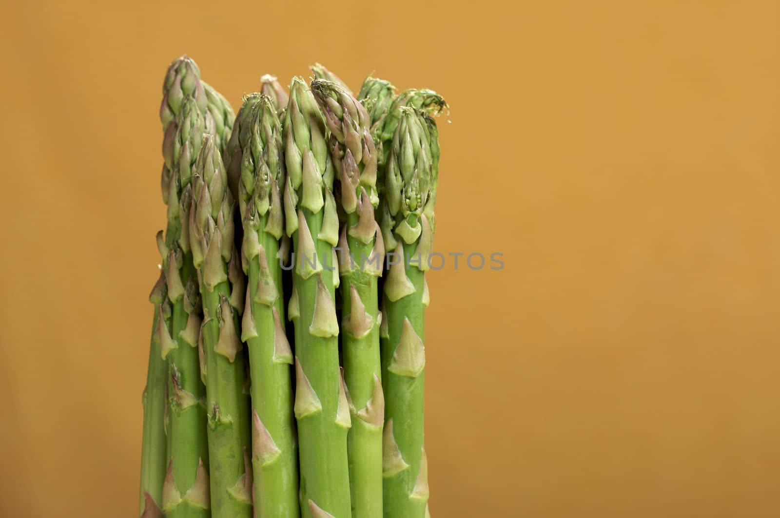 Fresh Organic Asparagus on a Warm Orange Background.