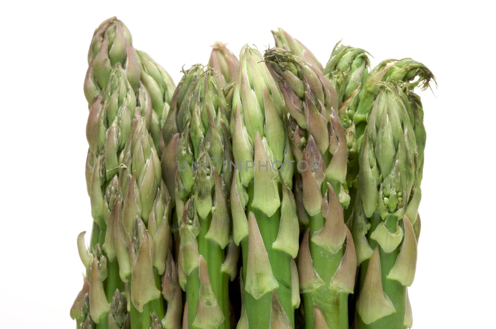 Fresh Organic Asparagus Isolated on a White Background.