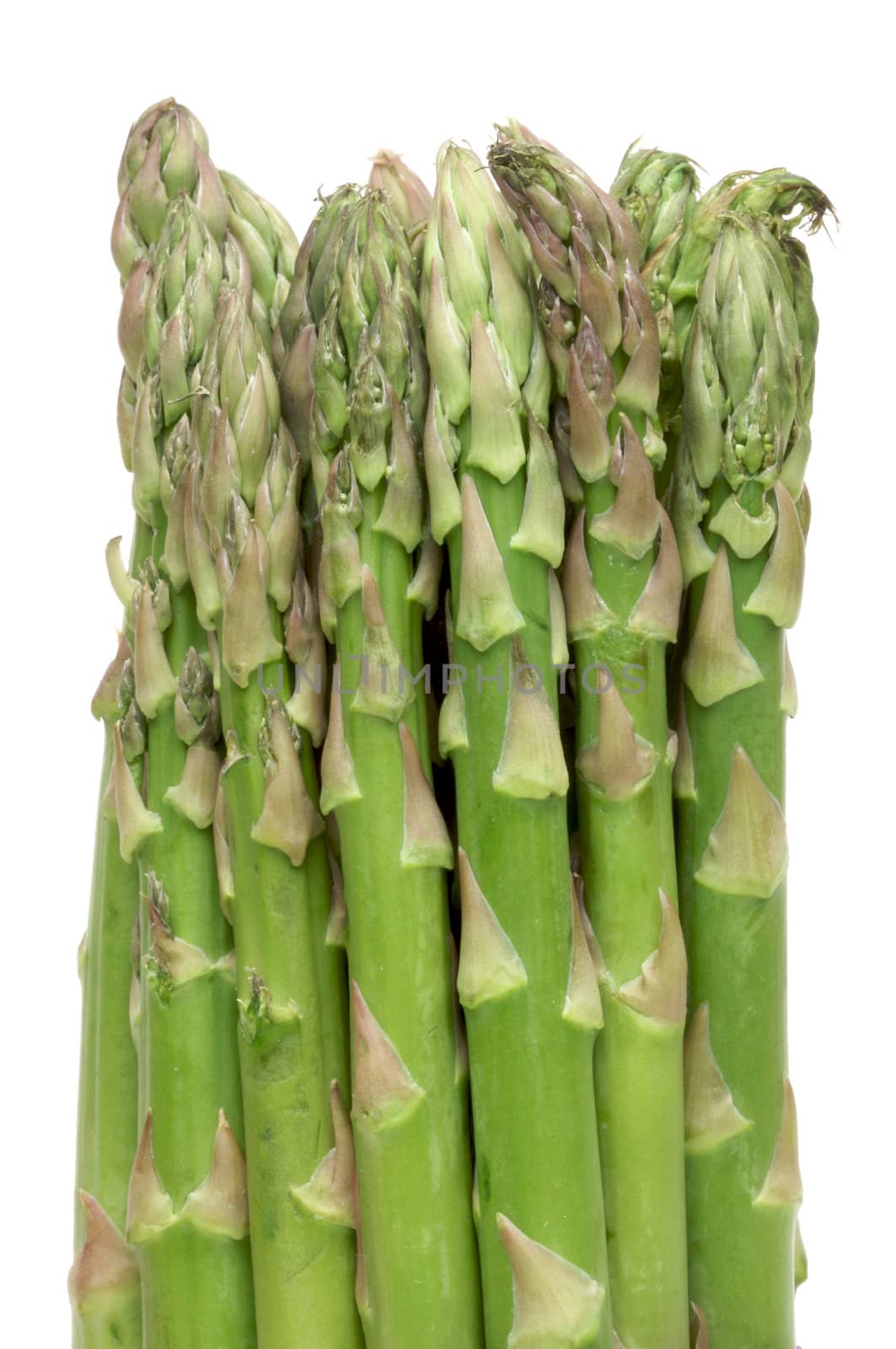 Fresh Organic Asparagus Isolated on a White Background.