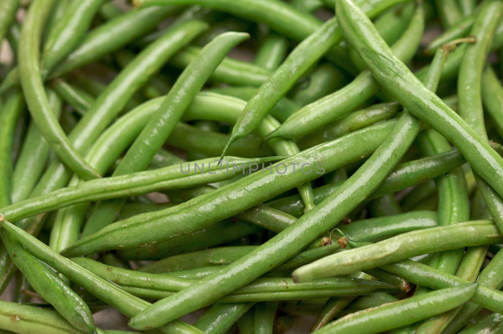 Fresh Green Beans Background Moist with Water.