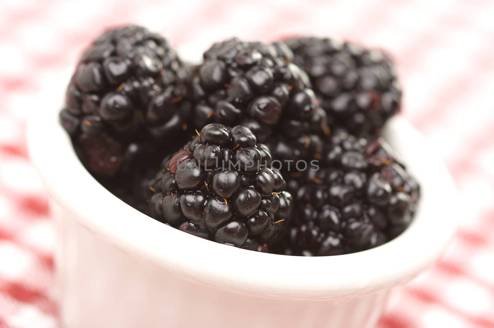 Blackberries in a Small Bowl by Feverpitched