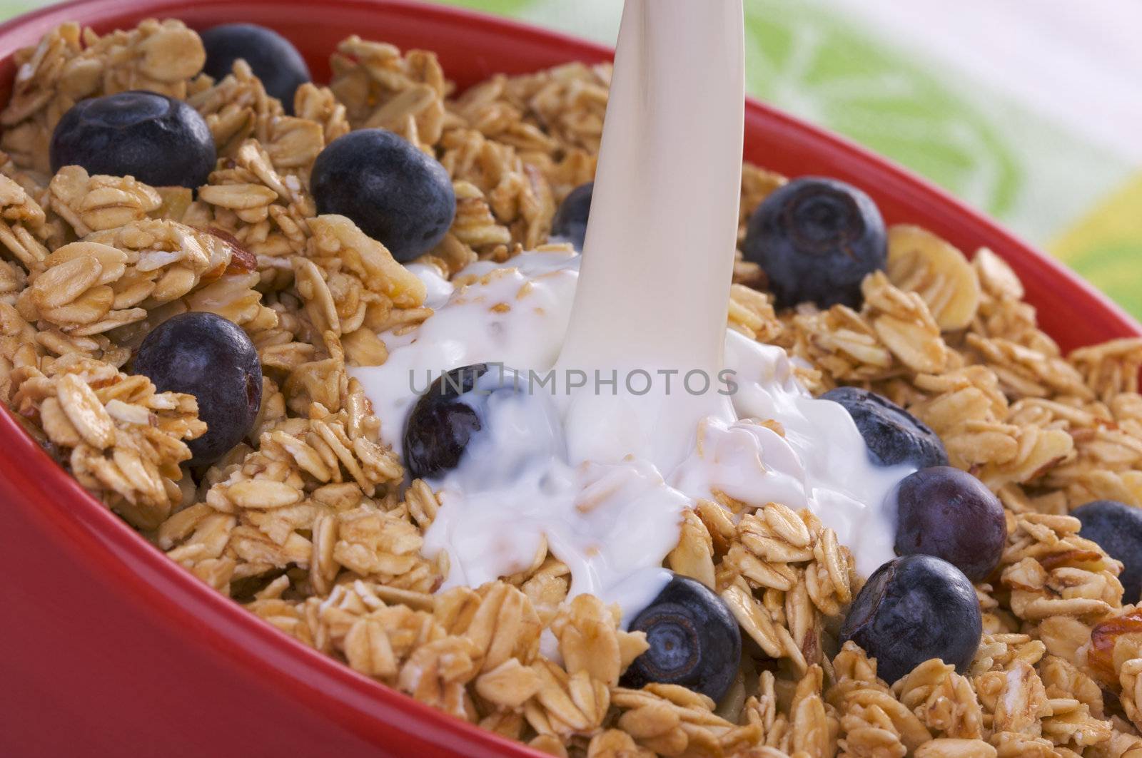 Bowl of Granola and Boysenberries and Milk by Feverpitched