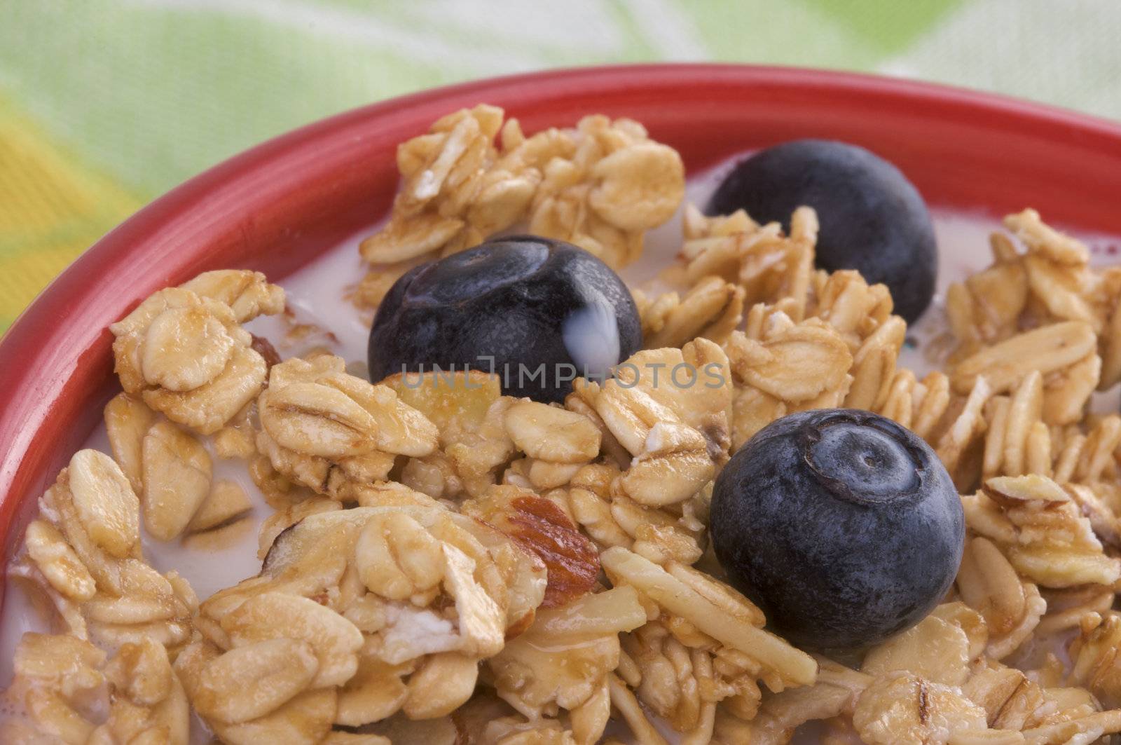 Bowl of Granola and Boysenberries in Milk by Feverpitched