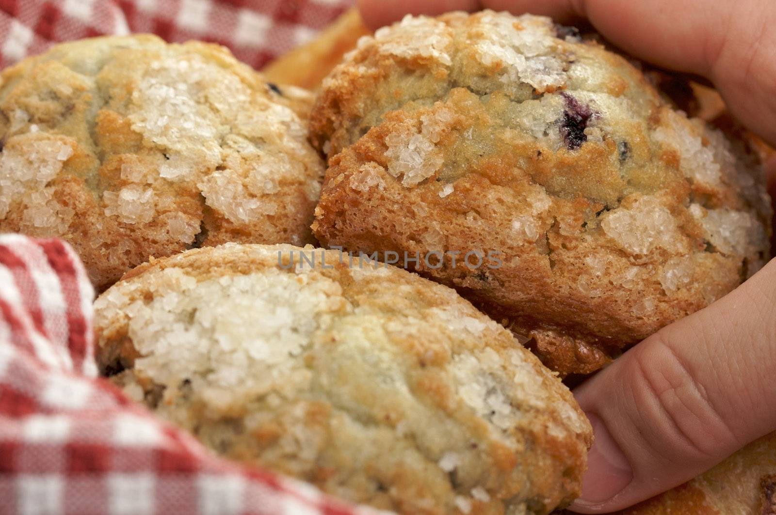 Blueberry Muffins in Basket by Feverpitched