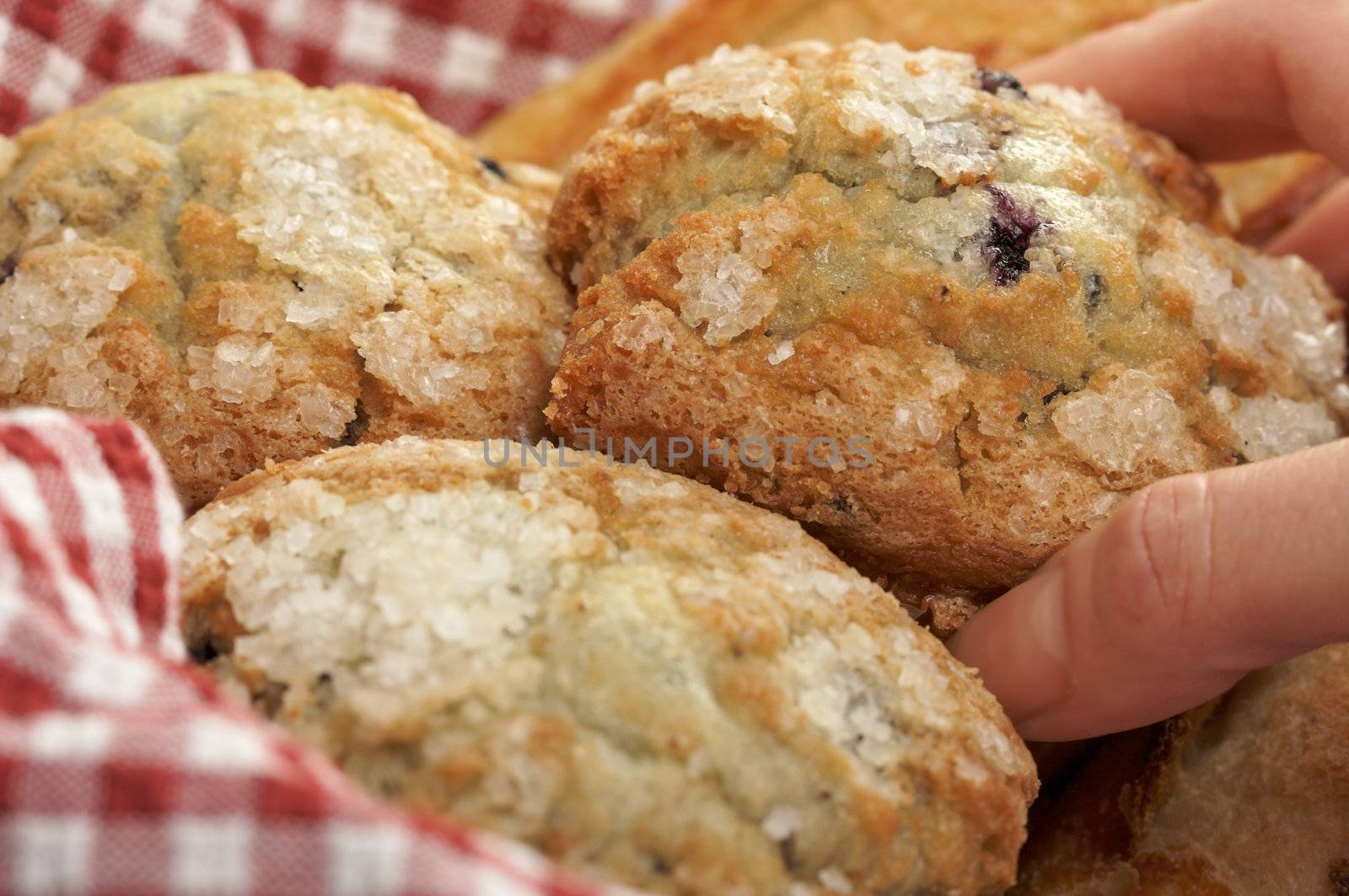 Female Hand Grabbbing for Blueberry Muffins in Basket