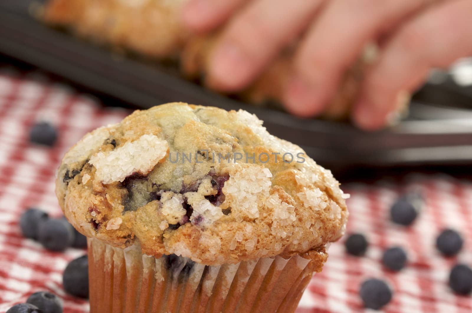 Fresh Blueberry Muffins out of the oven.