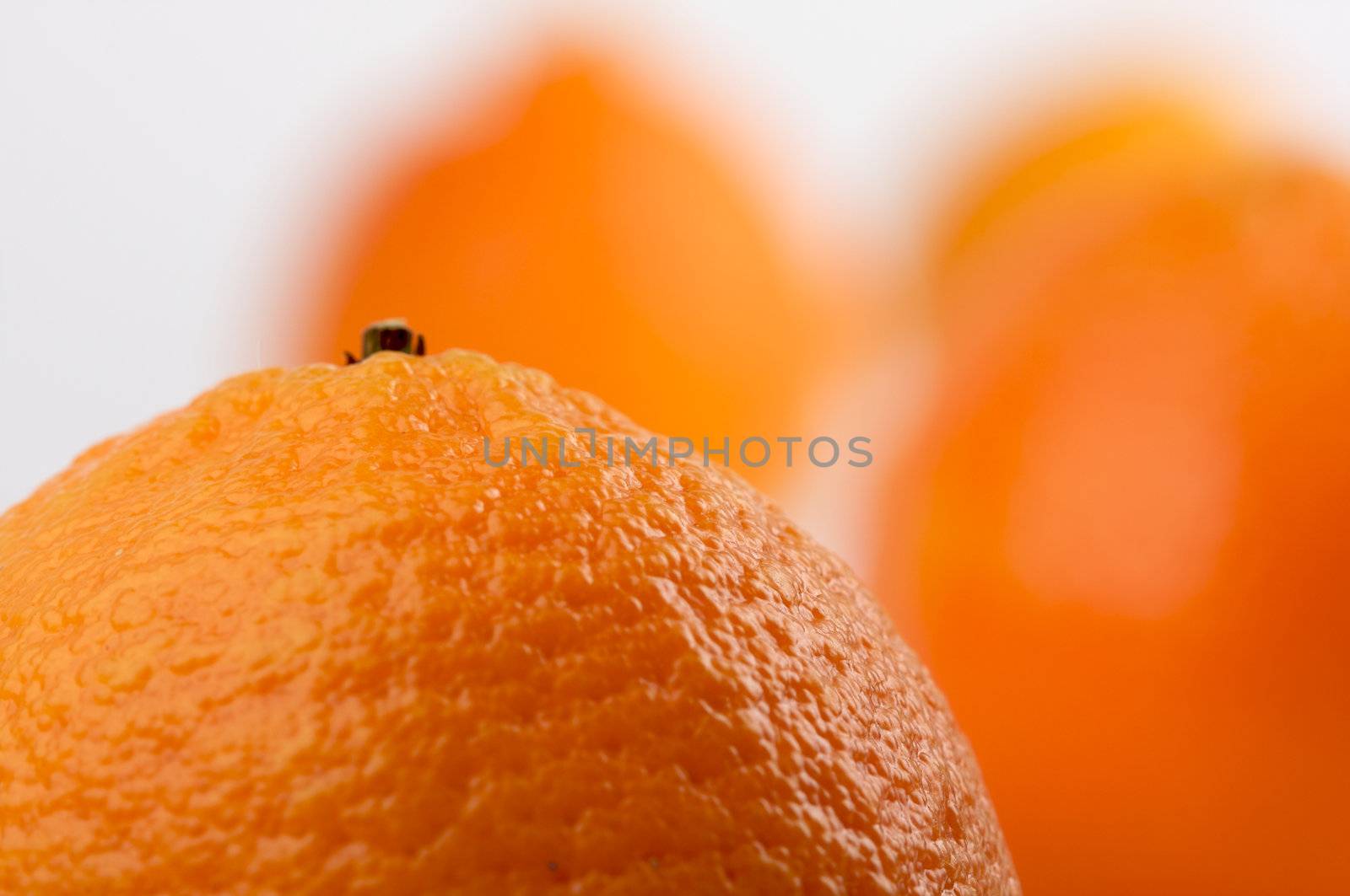 Clementine Oranges on a White Background