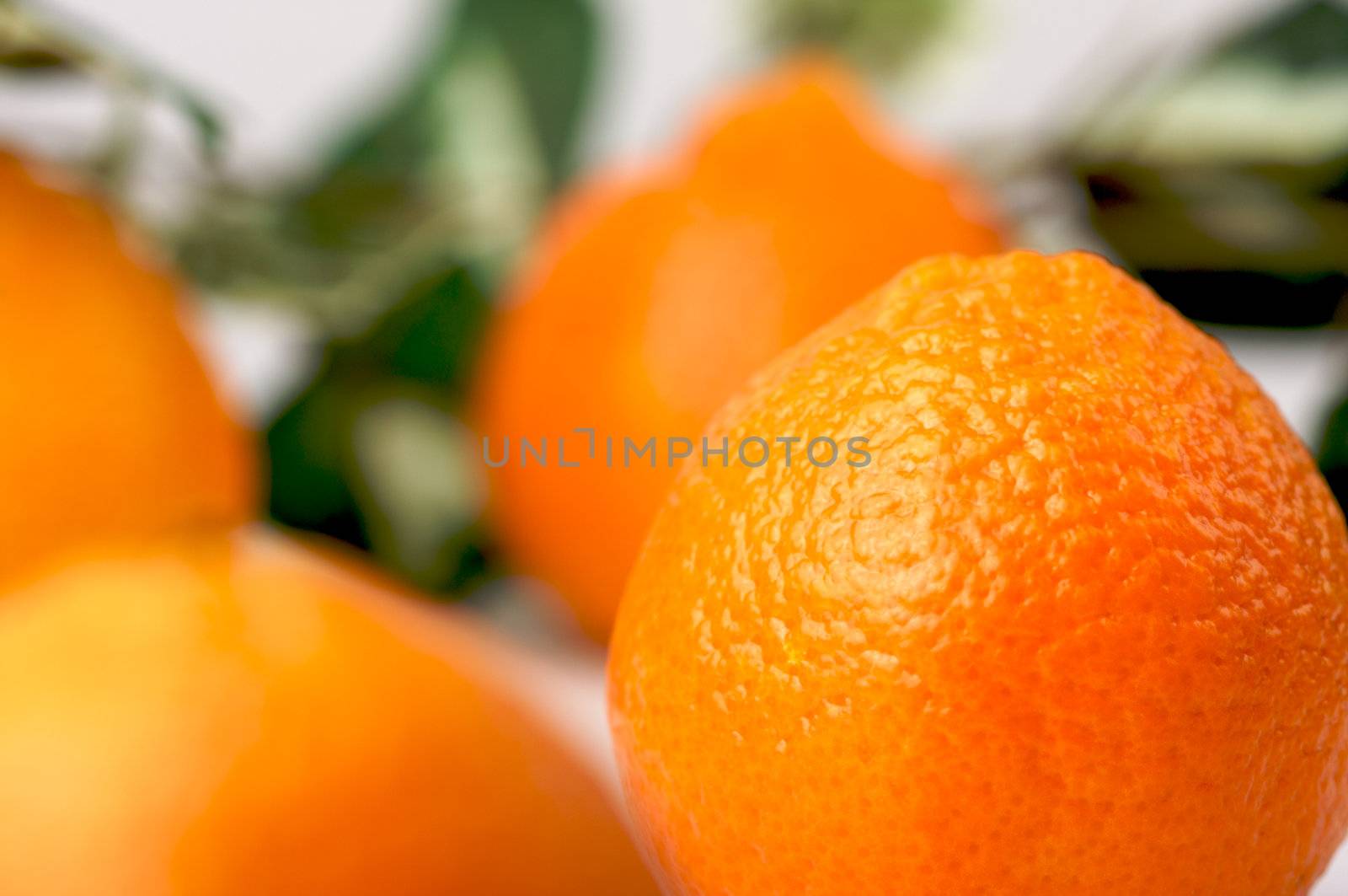 Clementine Oranges by Feverpitched