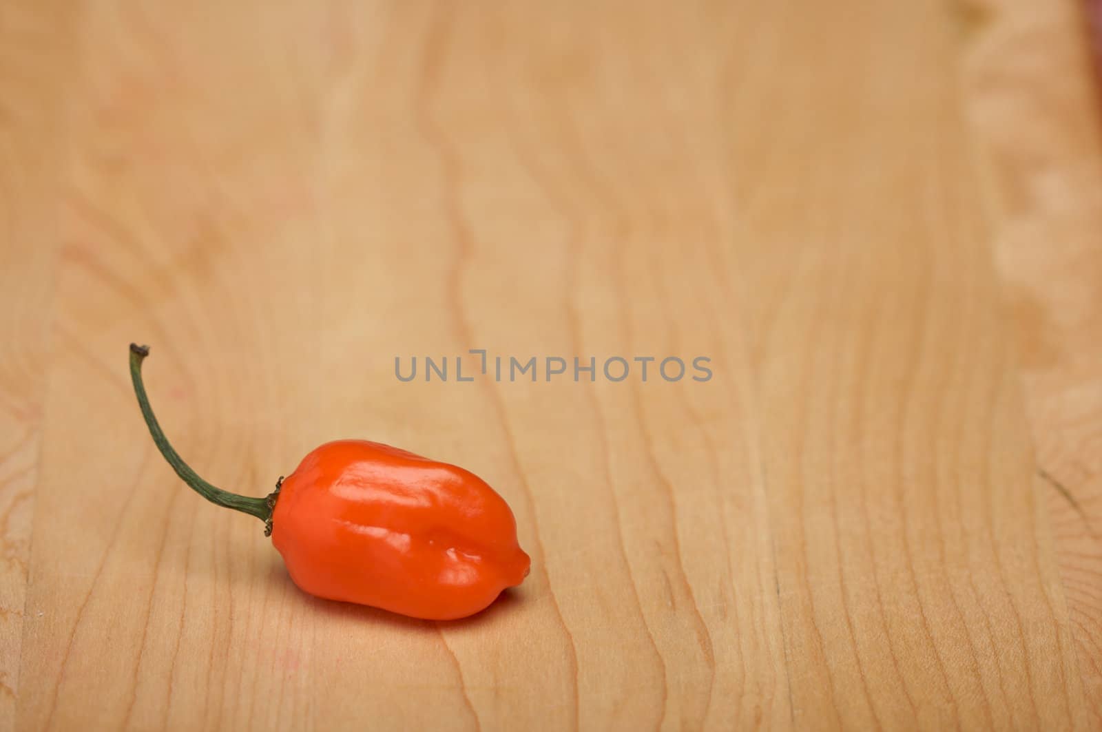 Orange Chili Pepper on a Wood Cutting Board. Room for Copy.