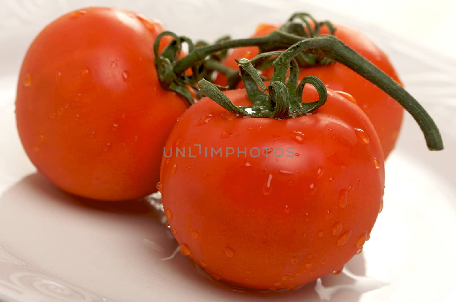 Fresh Red Tomatoes on White Plate by Feverpitched