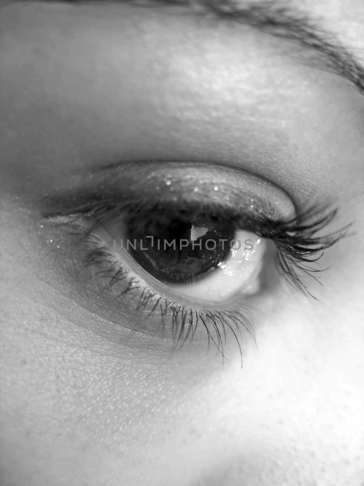 A macro shot of a pretty eye in black and white.