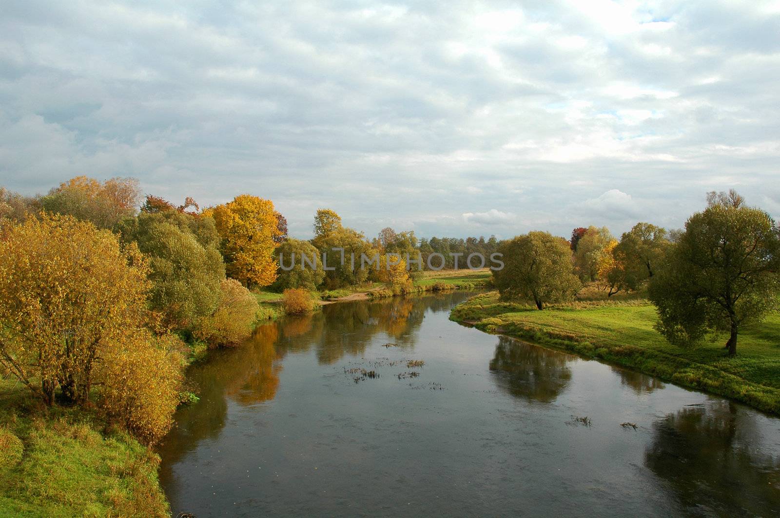 Gold autumn by OlgaDrozd