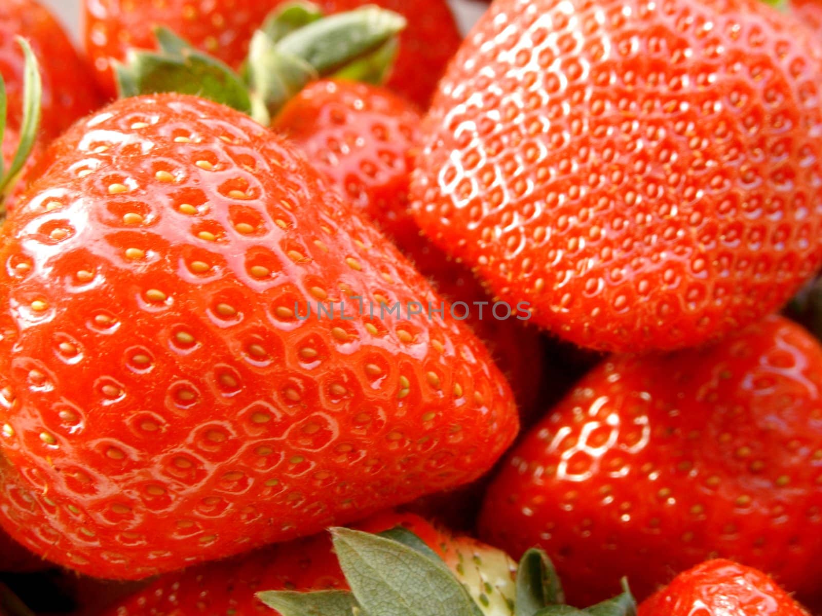 Close-up of ripe strawberries with leaves