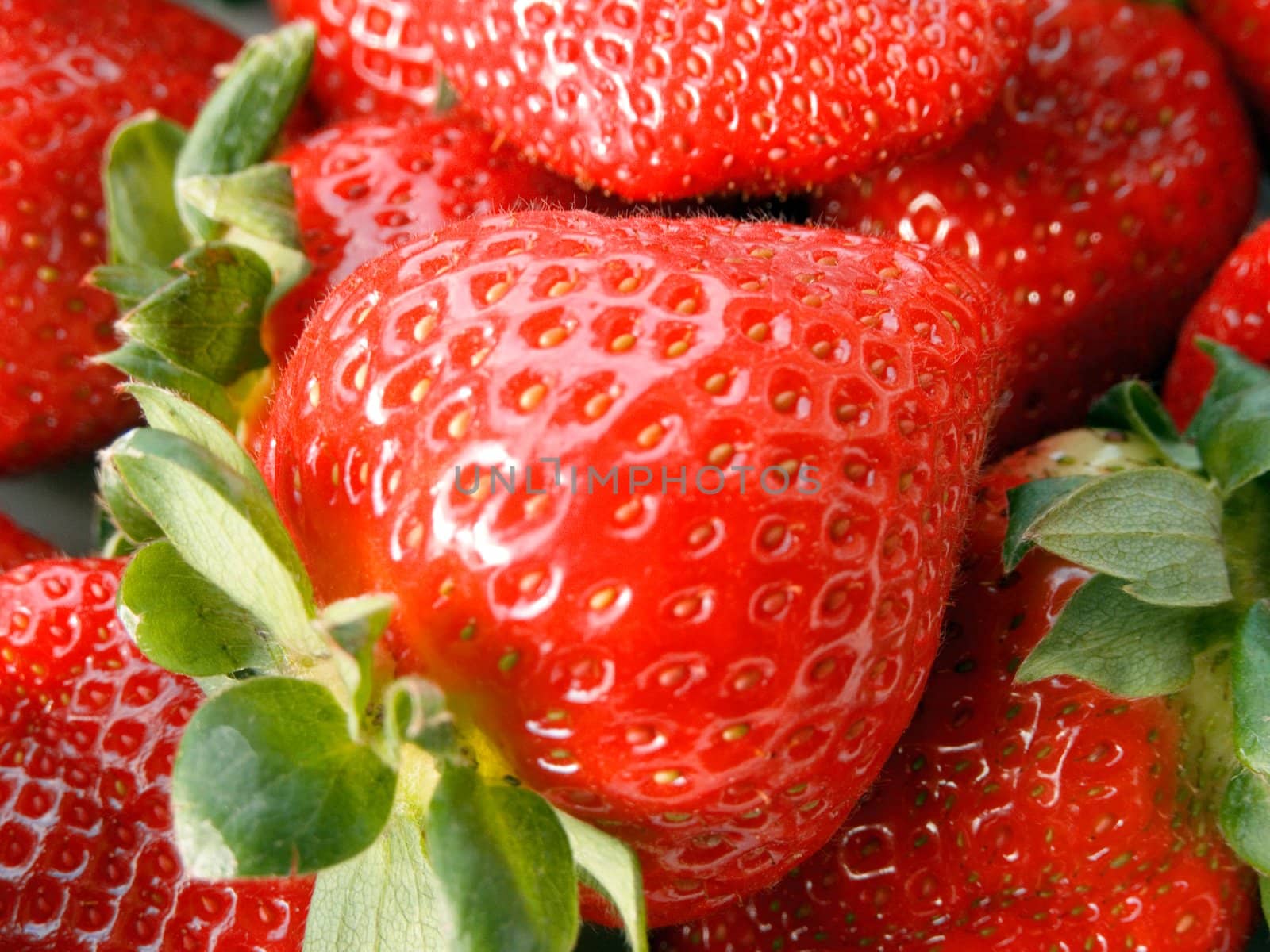 Close-up of ripe strawberries with leaves