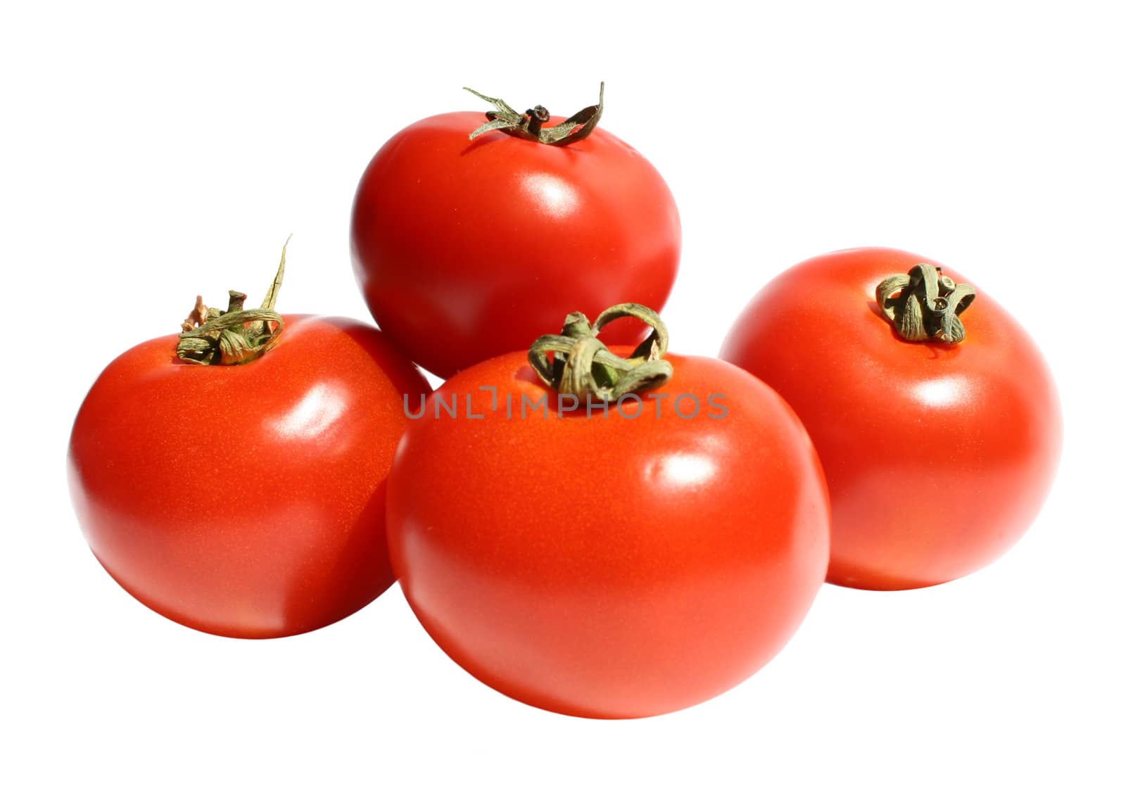 Ripe tomato on a white background.