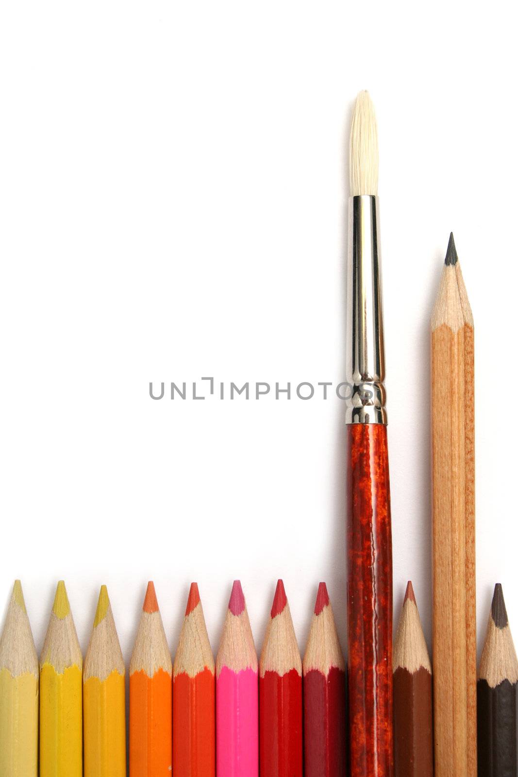 Art brush and simple pencil for plotting among colour pencils made of a tree