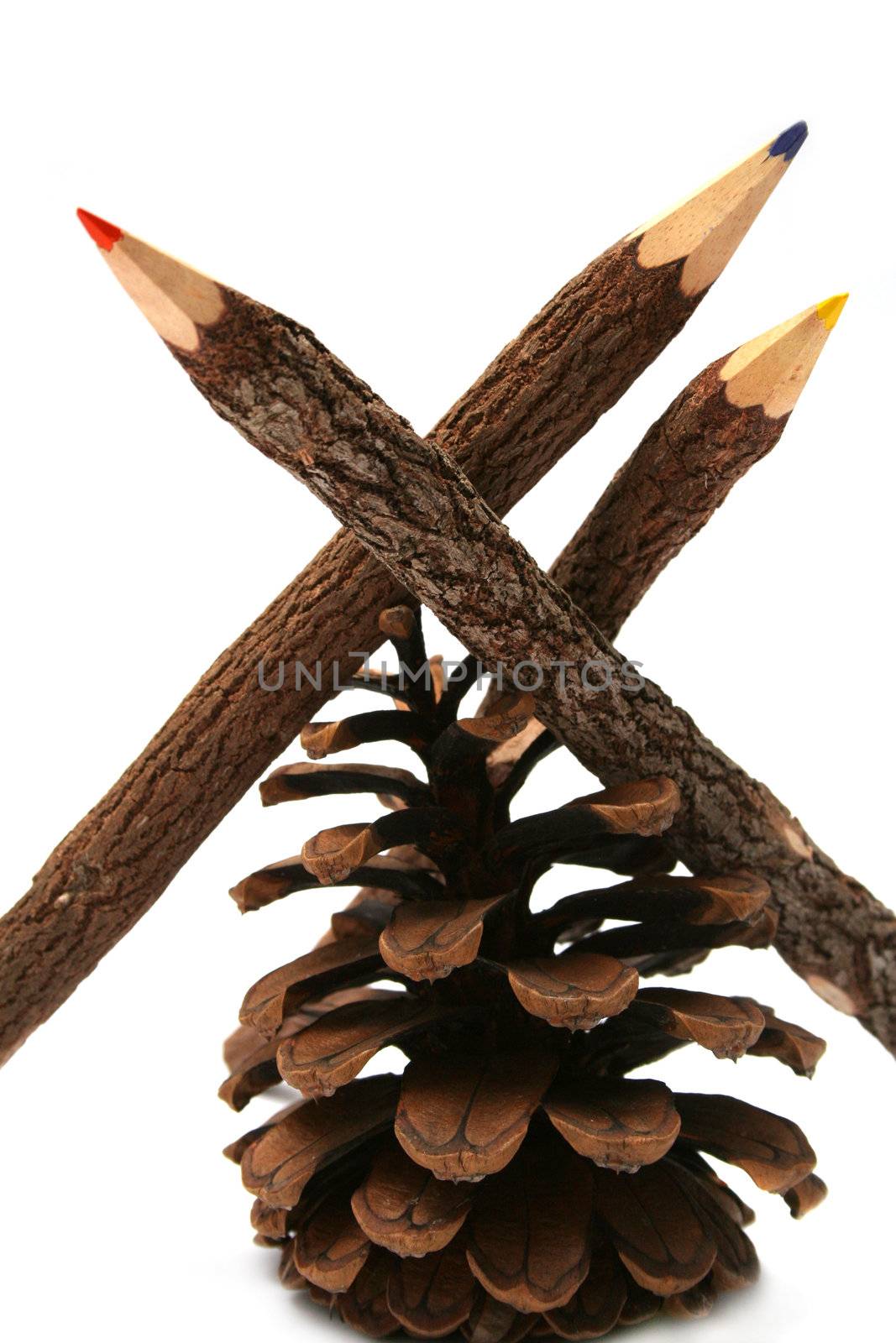 Three pencils made of a branch of a tree and a piny cone