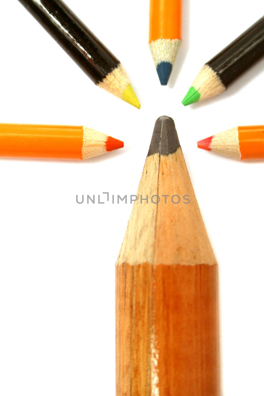 The big pencil and five small color pencils on a vertical  by parrus