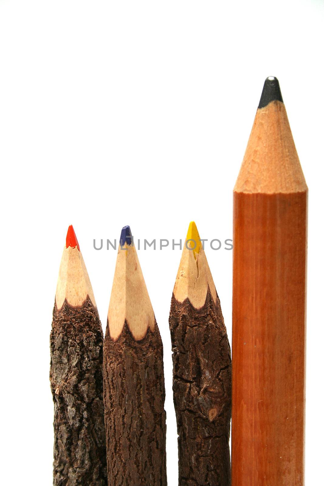 Three unusual pencils made of natural wood and one simple huge pencil vertical