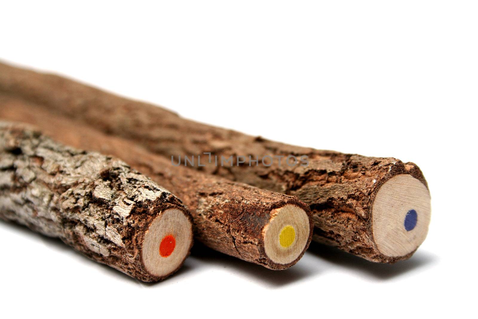 Three unusual pencils made of branches of a tree with a multi-coloured core