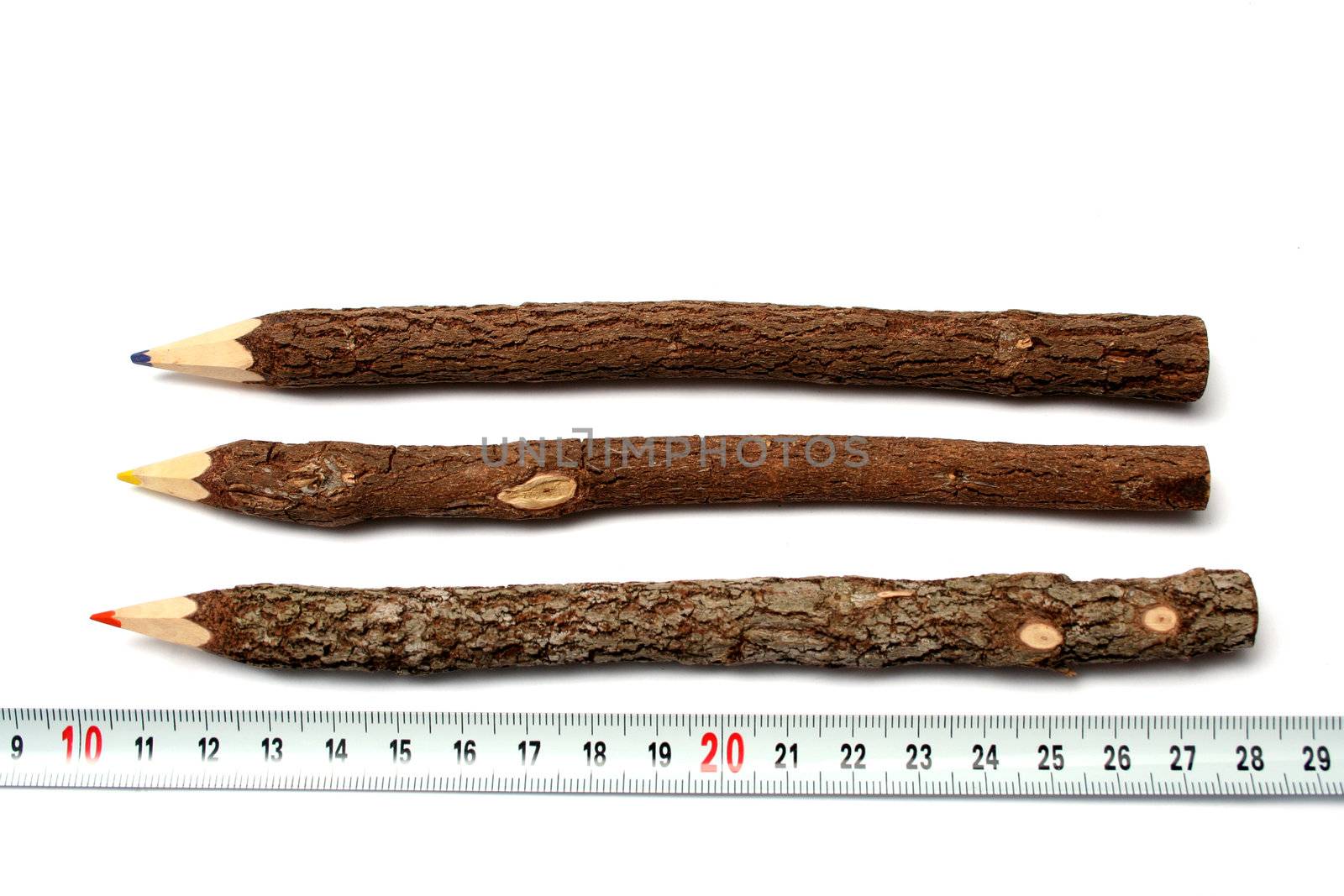 Three unusual pencils made of branches of a tree near to a measuring ruler