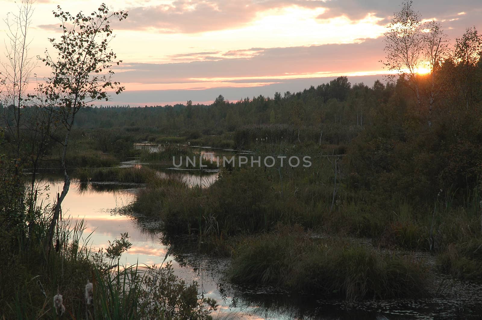 A picture of a bog and its surroundings, taken as the sun is setting in the distance.