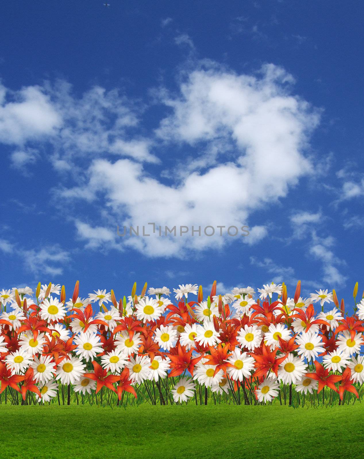 The spring flowers over blue sky