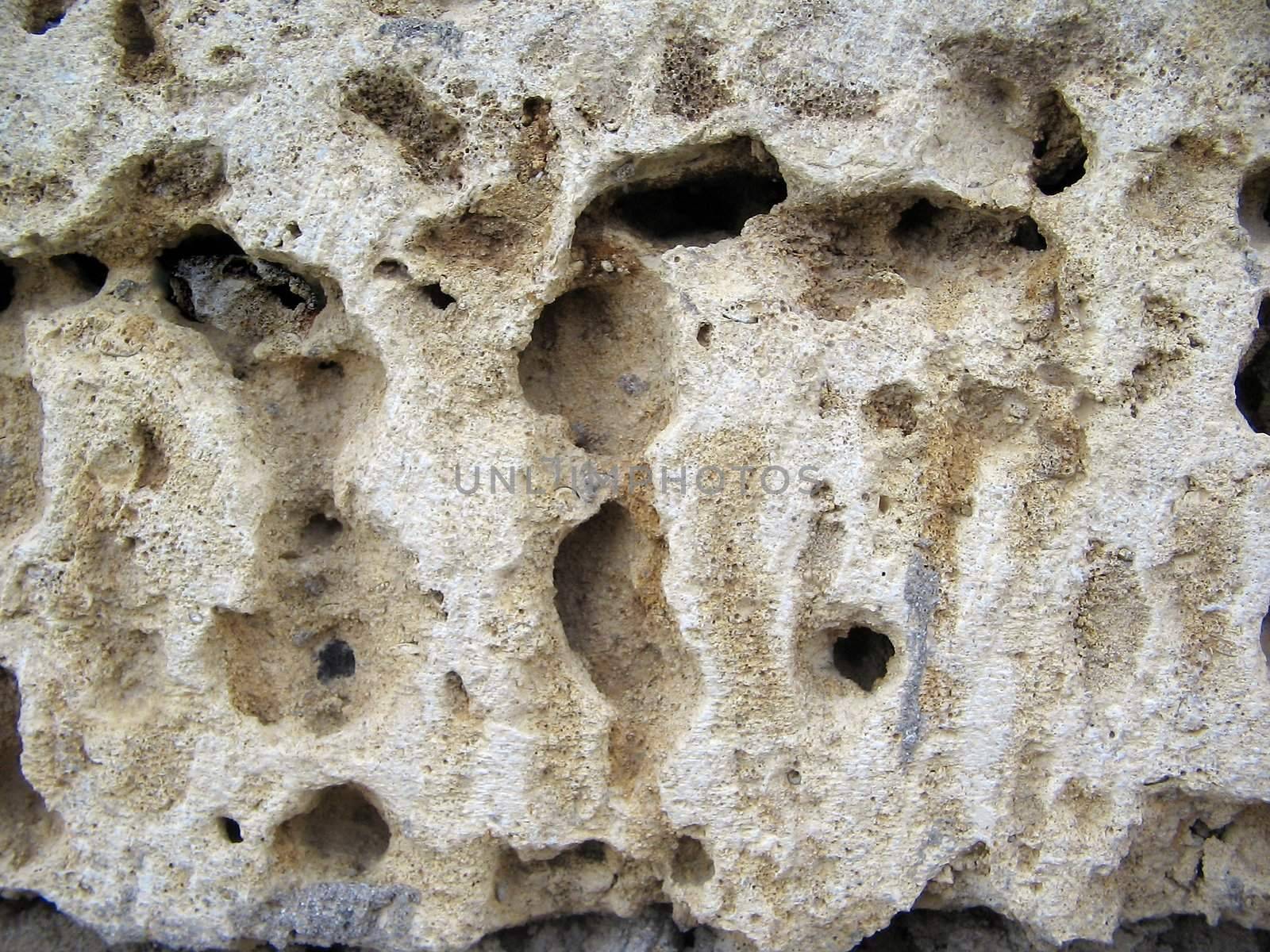 Wall of ill-white bricks. big picture. macro.