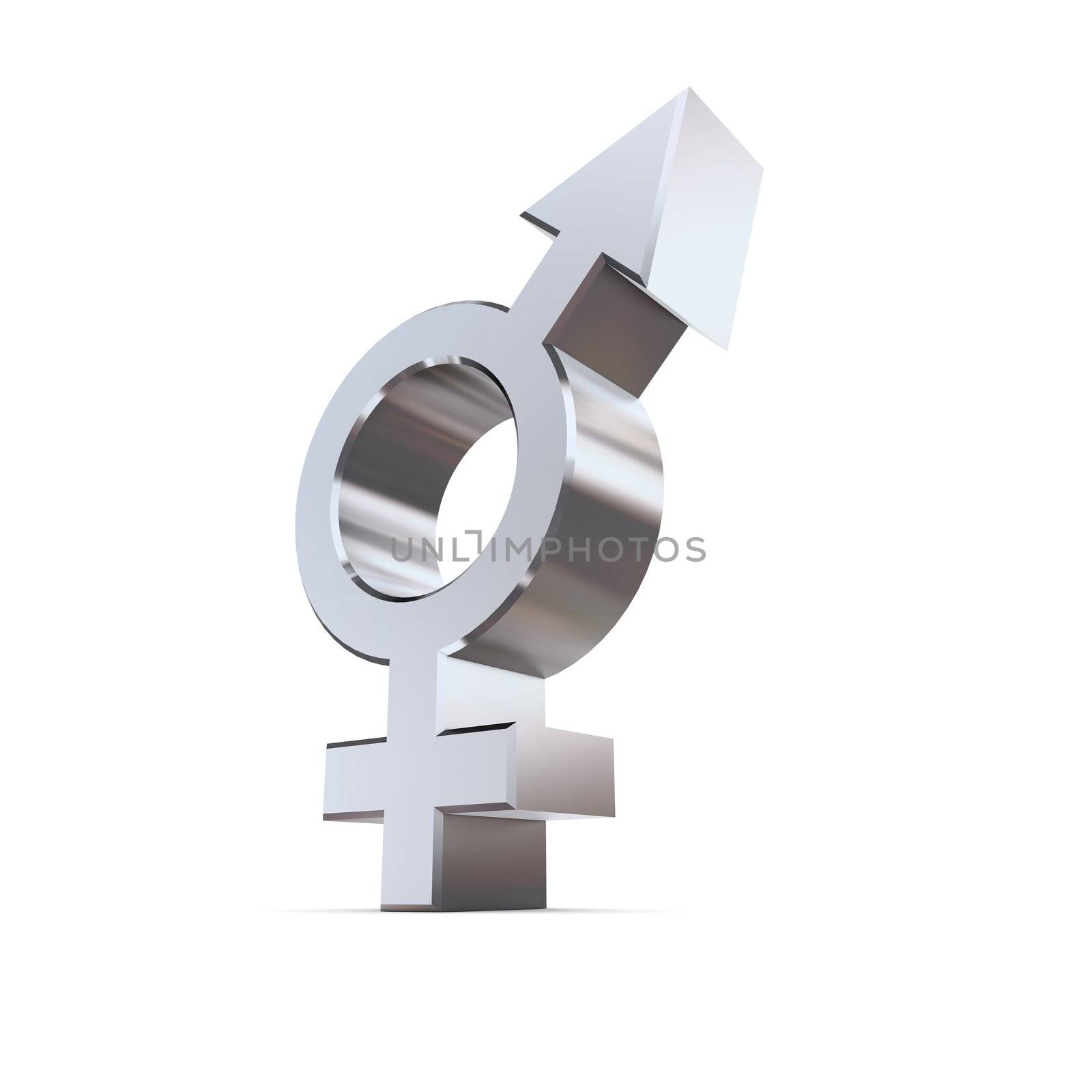 transgender/intersexual symbol in silver chrome on a white ground