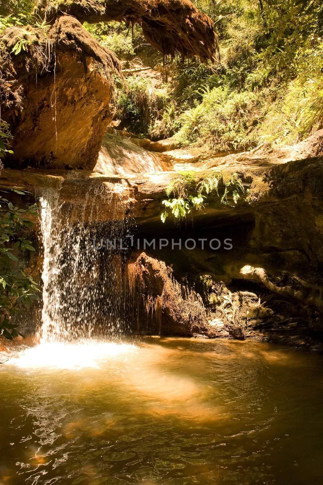 Berry Creek Falls Trail by melastmohican