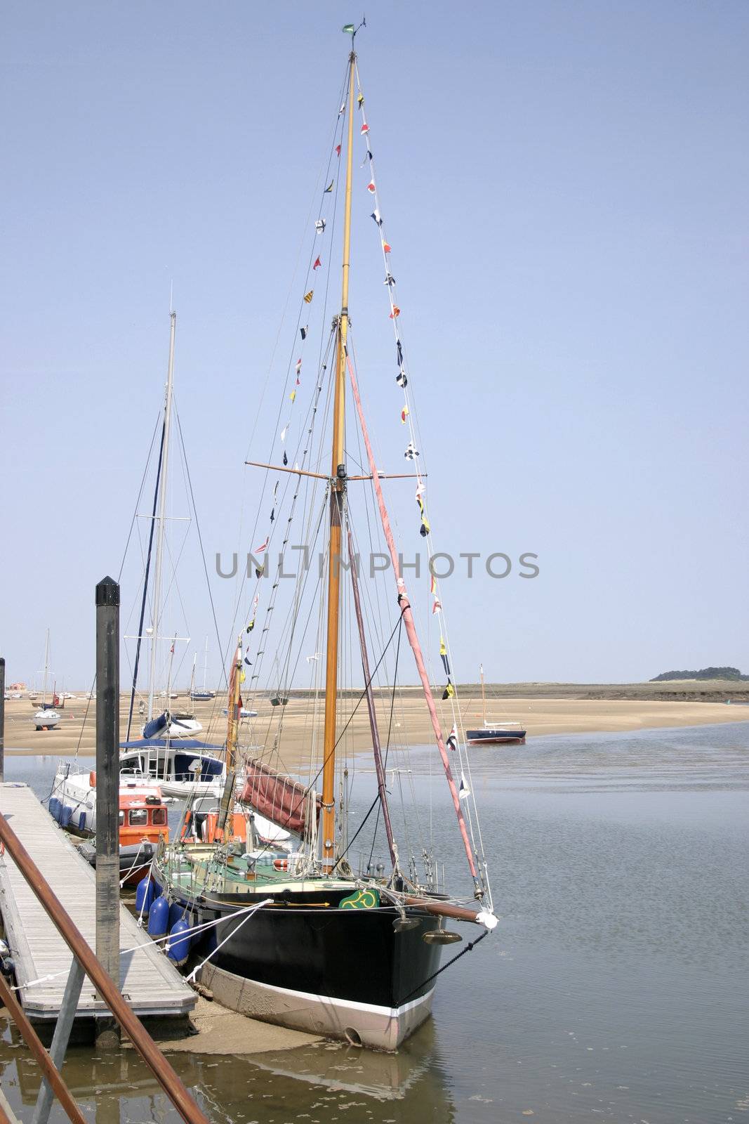tall boats at low tide by leafy