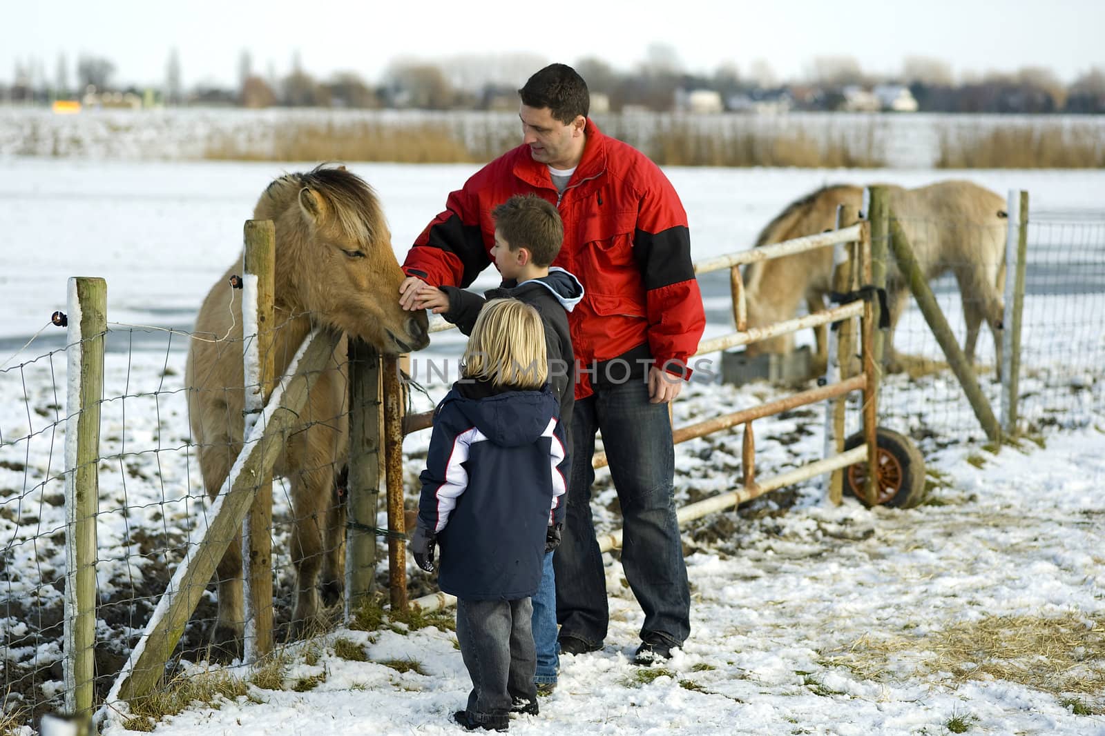 portrait of a two young boys and there father by a shetlandpony