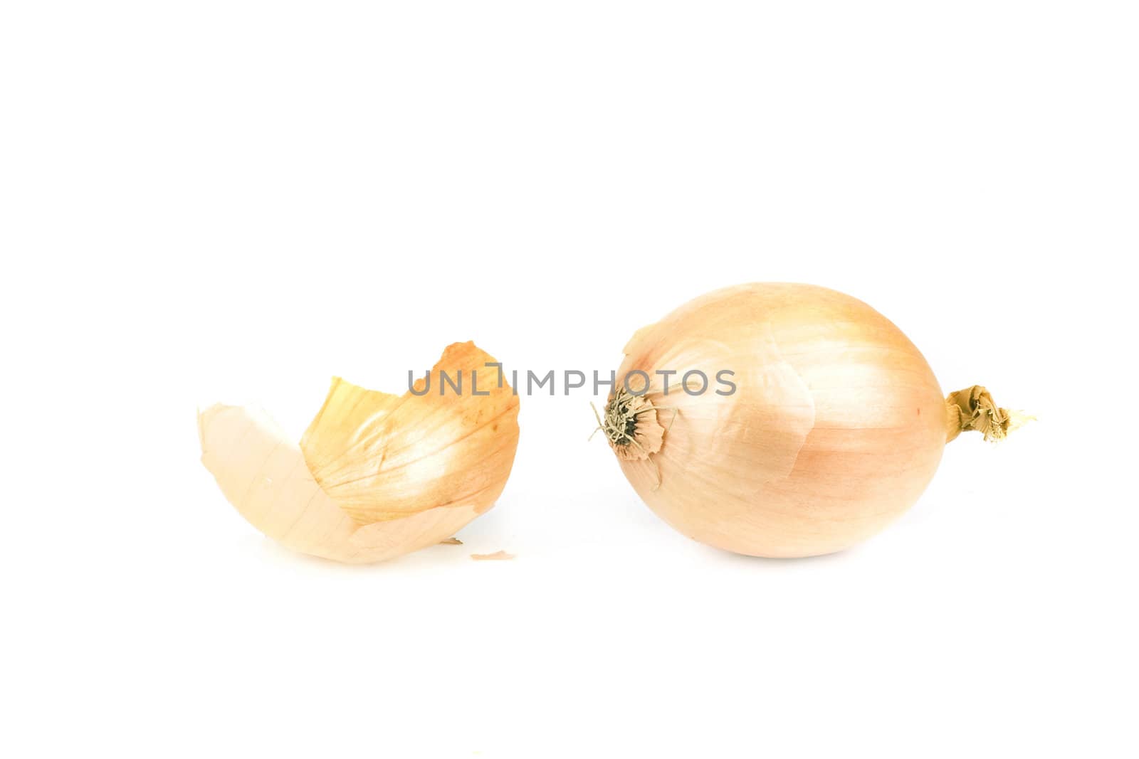 a healthy onion, isolated on a white background