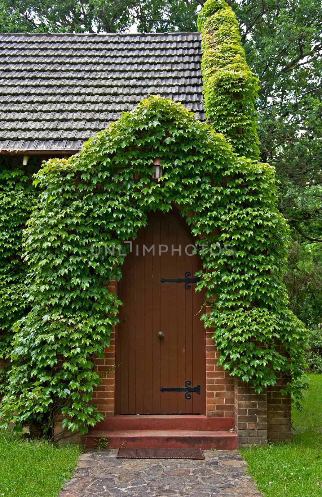 beautiful gostwyck chapel all covered in green spring vines