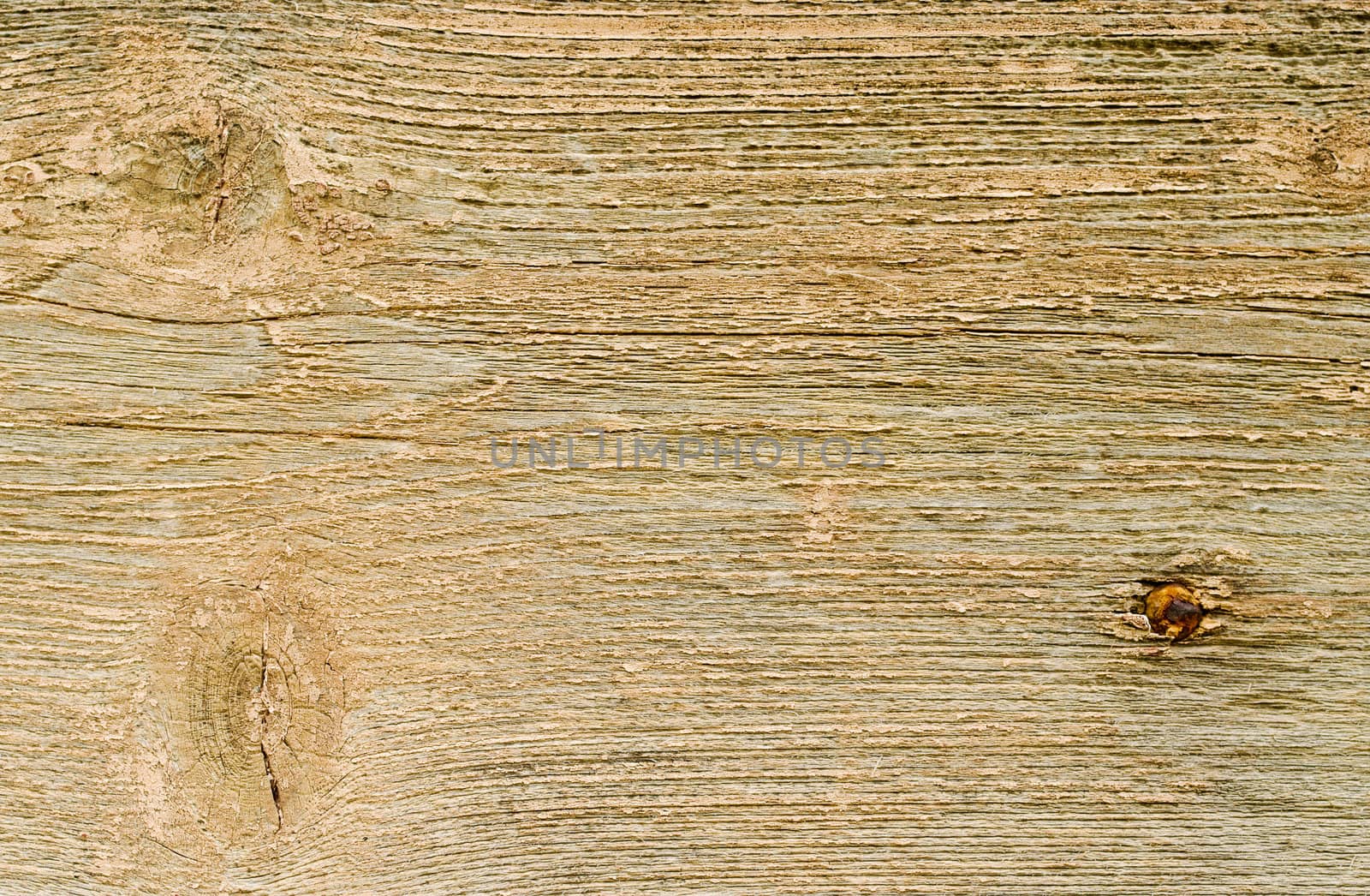 great background texture of old grungy wood
