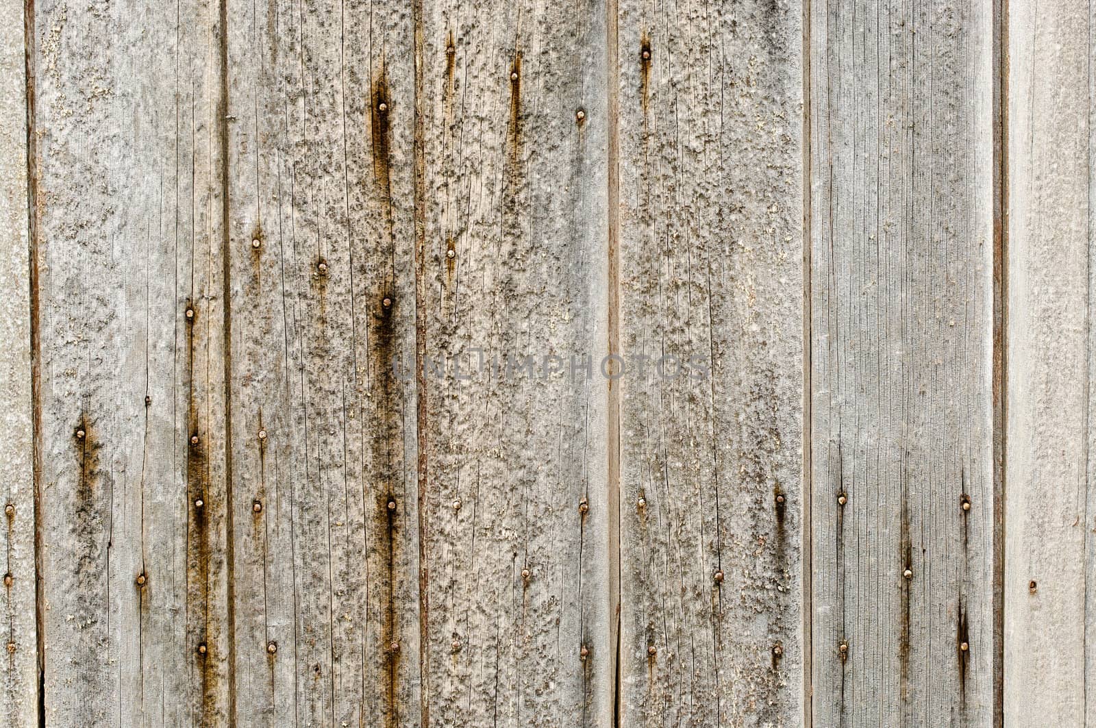great background texture of old grungy wood
