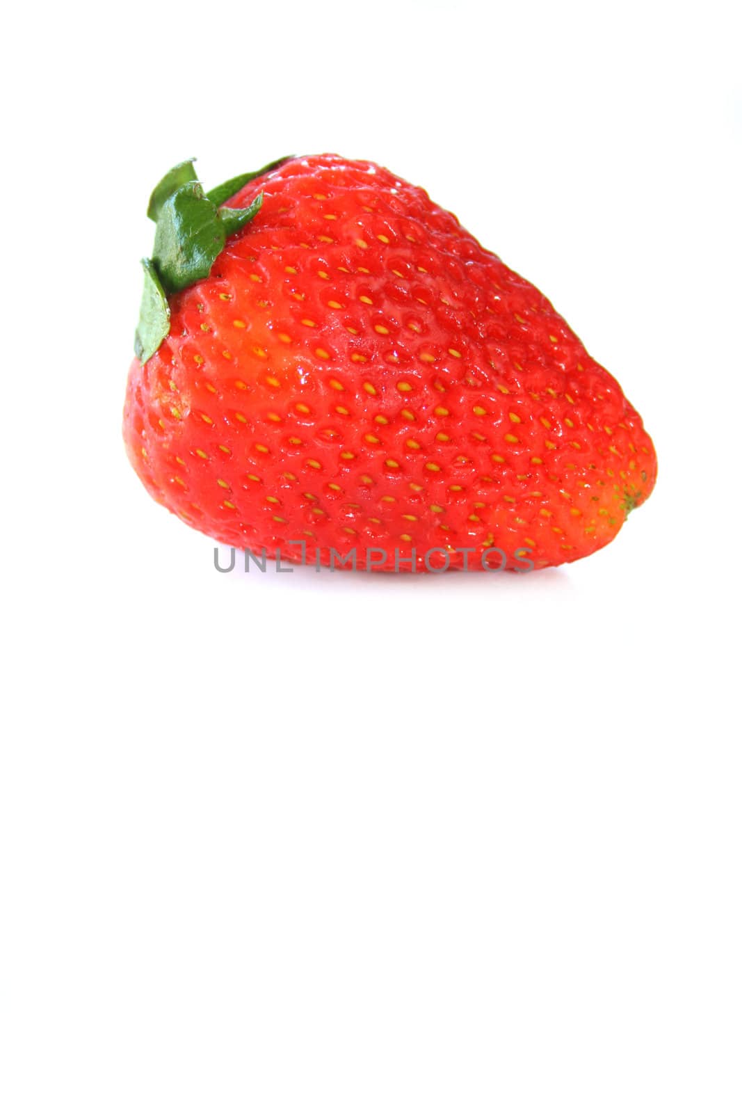 a fresh strawberry that has just been washed, isolated on a white background. Copy space available.