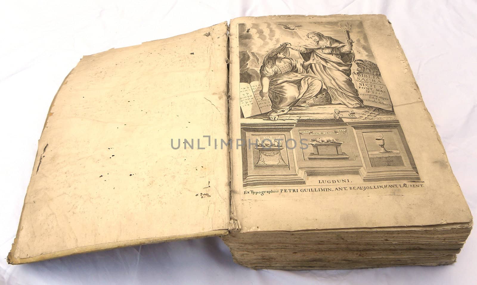           very old bible open on a white background                     