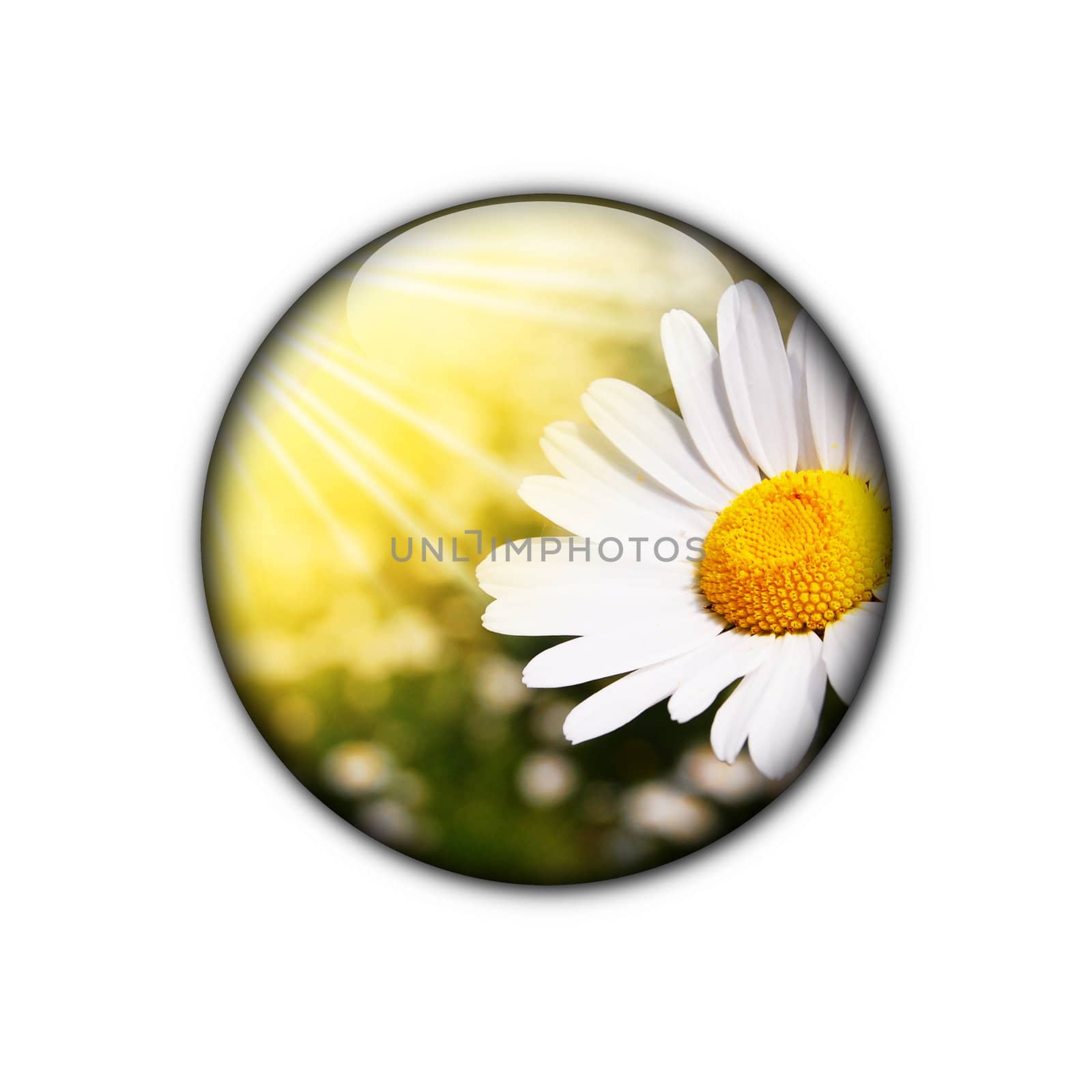 happy an lucky flower for internet page showing spring concept