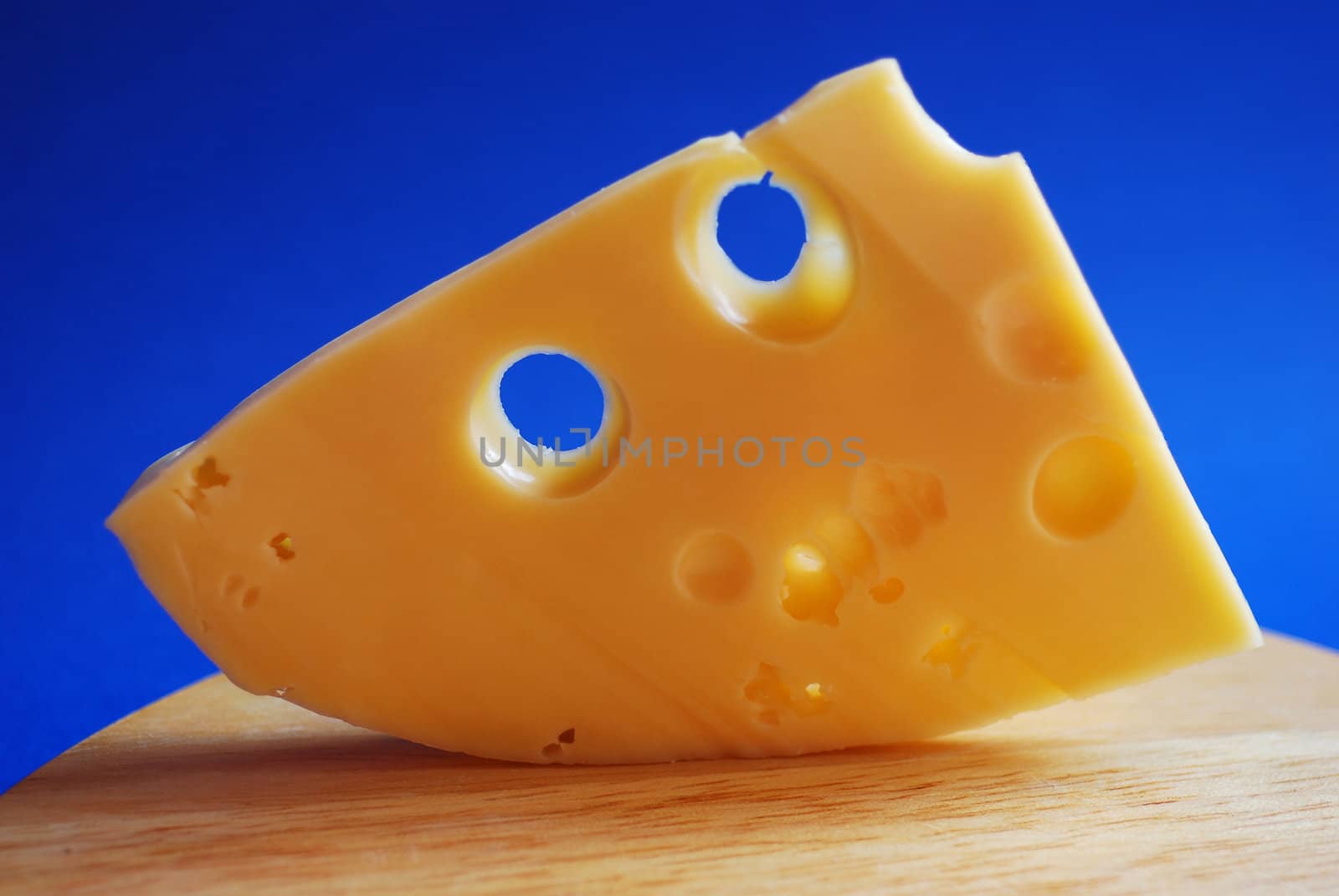 Piece of cheese on a blue background.
