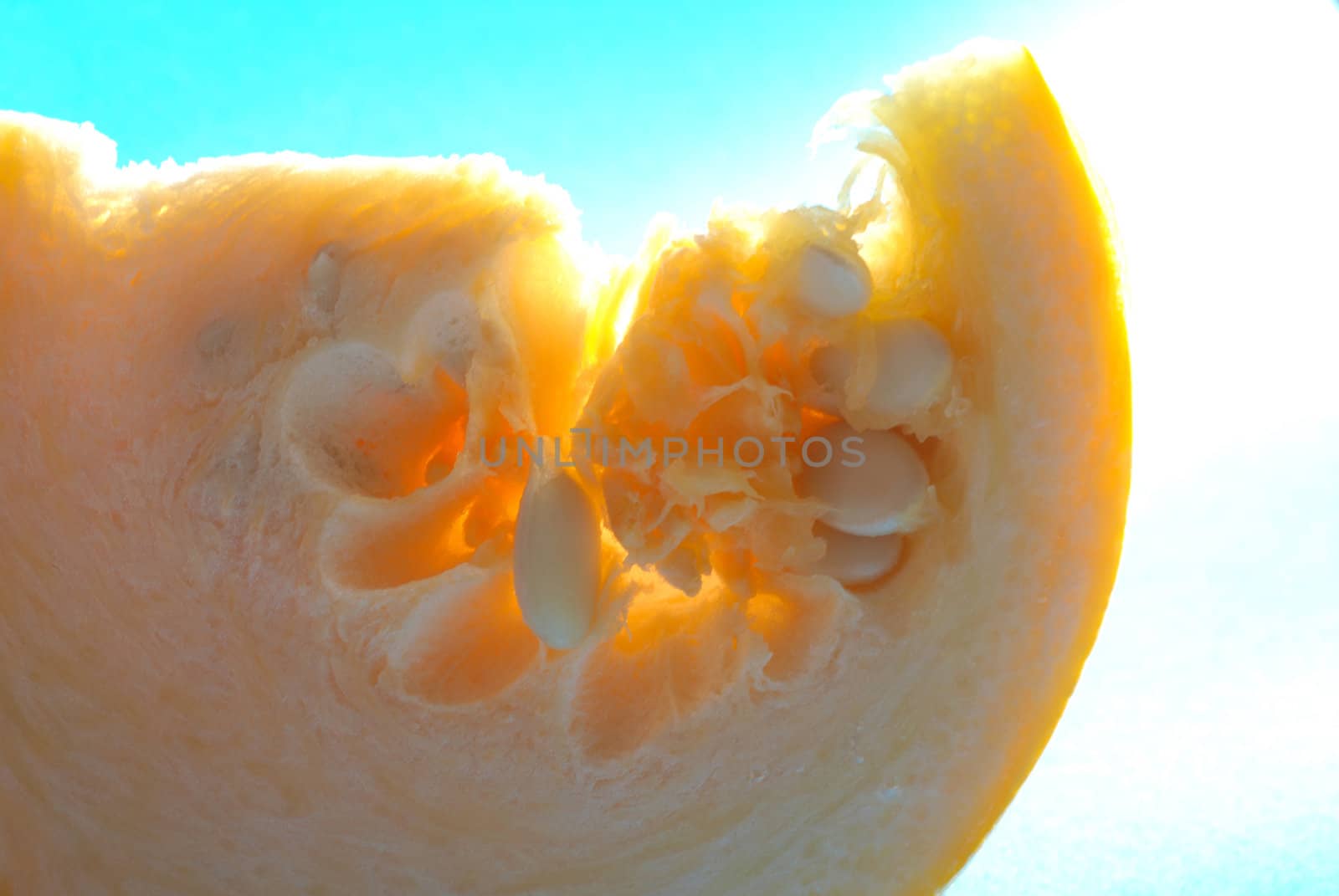 Close up of a slice of pumpkin.