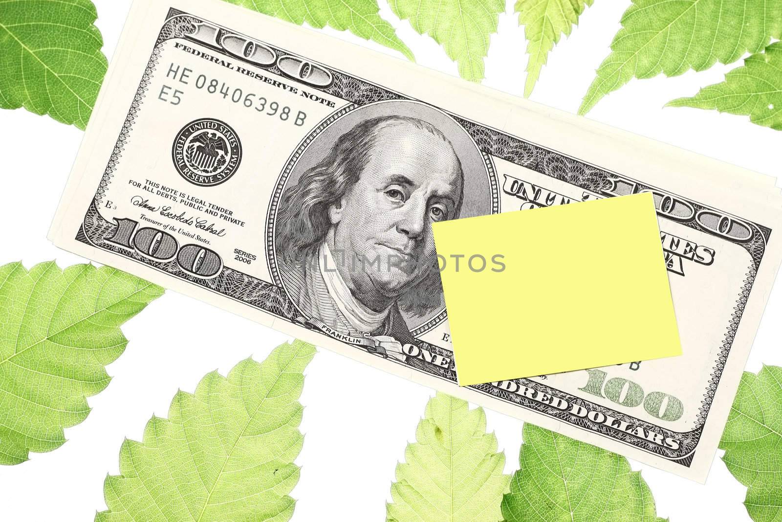 Post it note in dollar with green leaf background